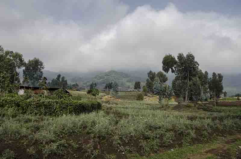 48 - Ruanda - parque nacional de los volcanes - paisaje